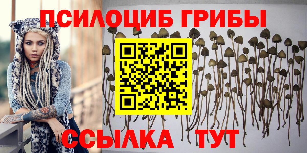 Галлюциногенные грибы мухоморы Удомля