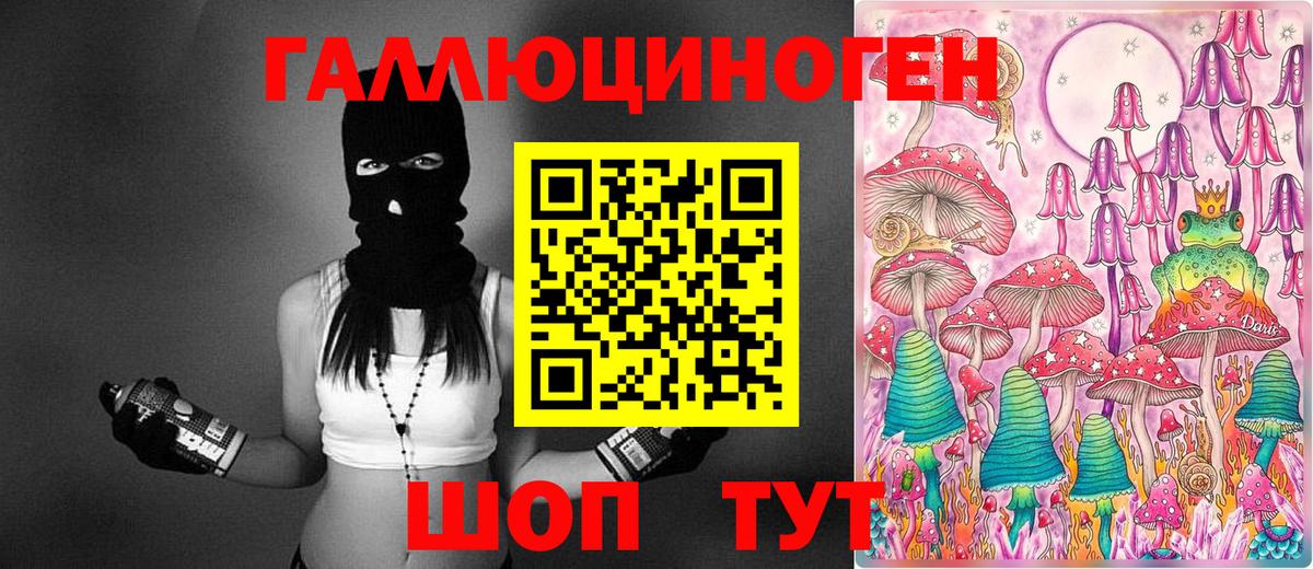 Псилоцибиновые грибы Psilocybe  Вход с VPN  Псилоцибиновые грибы Psilocybe  Удомля 