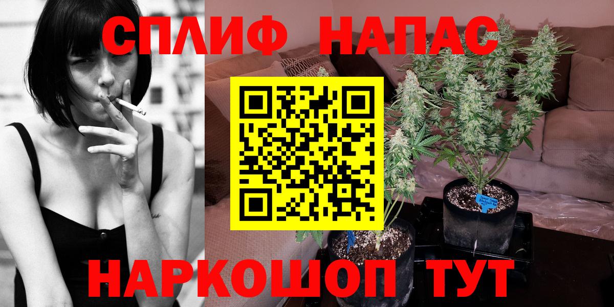 МАРИХУАНА конопля  Конопля гибрид  Вход с VPN  Удомля  Бошки марихуана план 